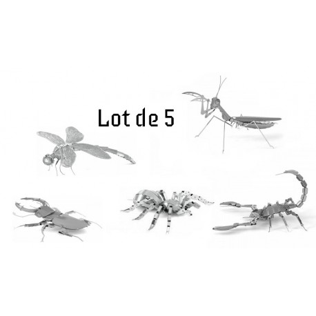 Puzzle 3D - Pack 5 insectes en métal